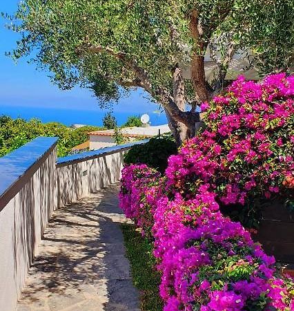 Appartamenti Luongo Forio di Ischia Екстериор снимка
