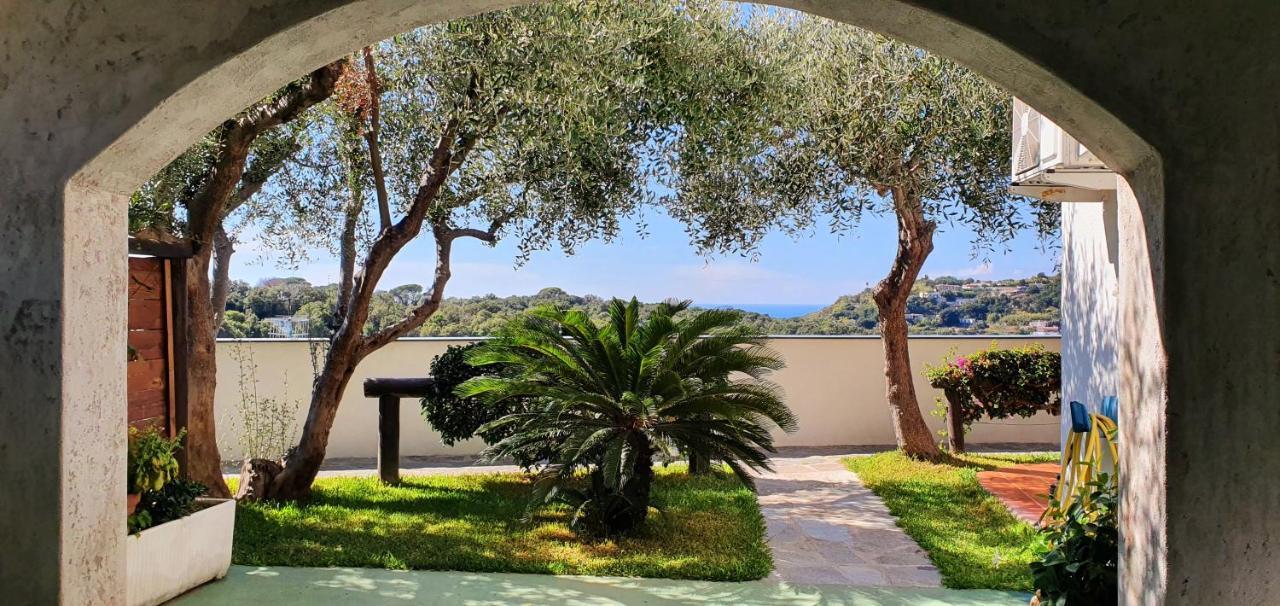 Appartamenti Luongo Forio di Ischia Екстериор снимка