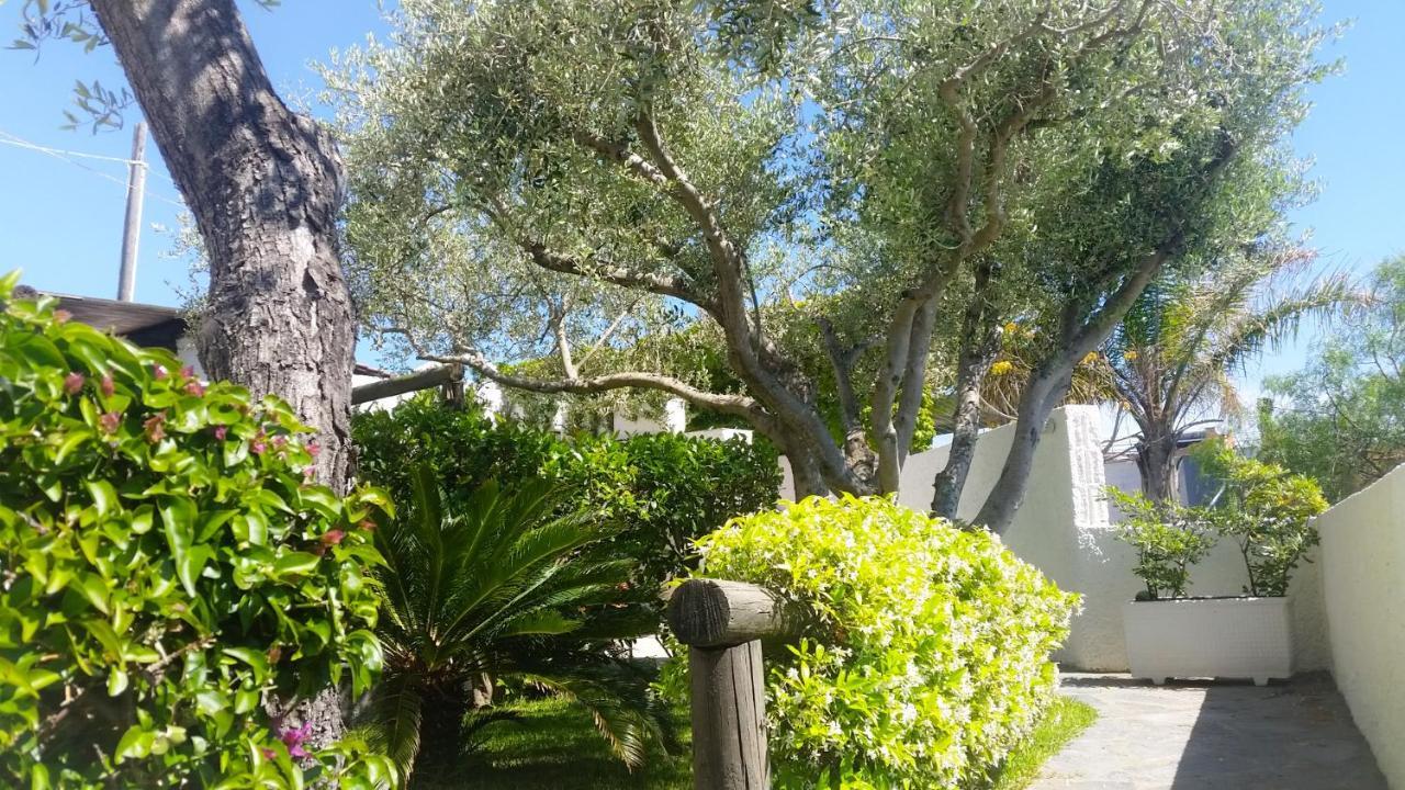 Appartamenti Luongo Forio di Ischia Екстериор снимка