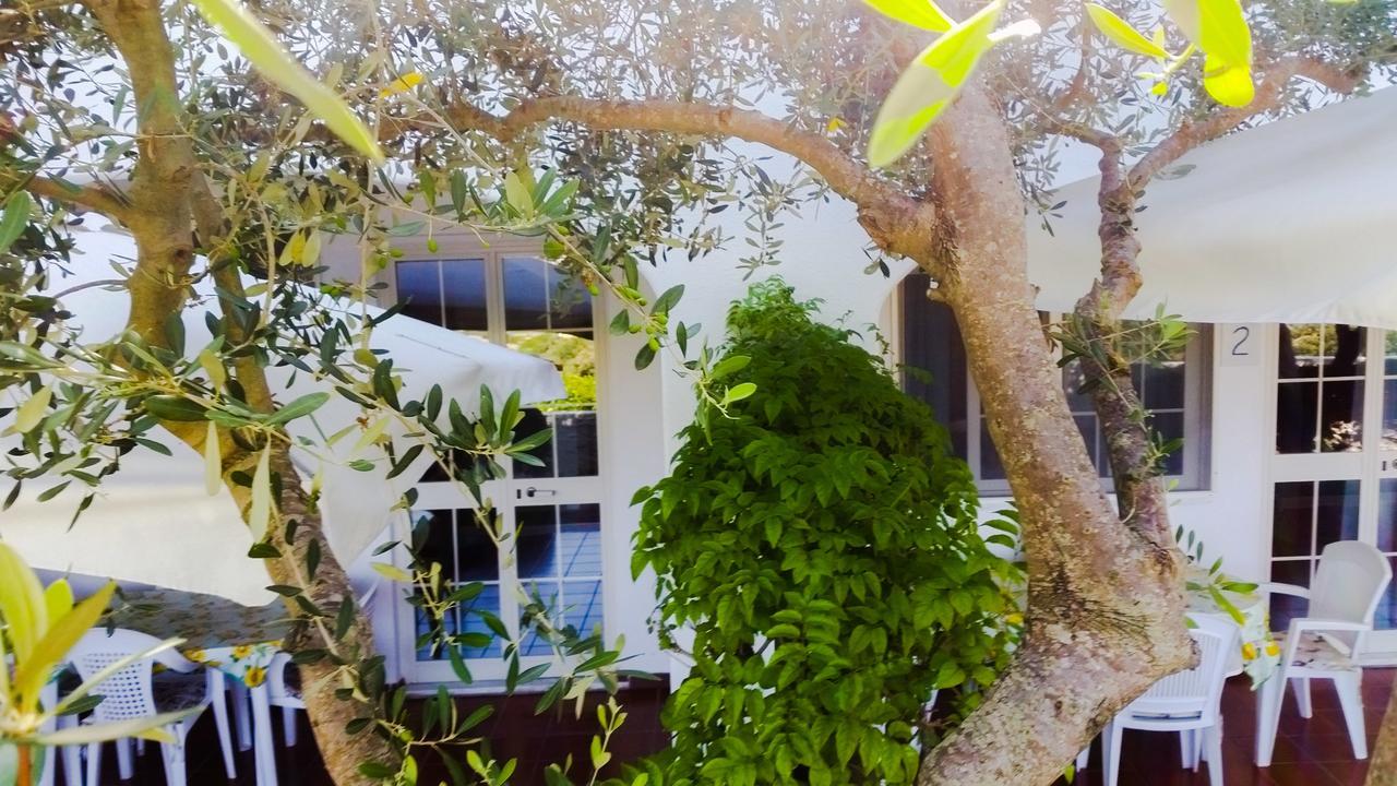 Appartamenti Luongo Forio di Ischia Екстериор снимка