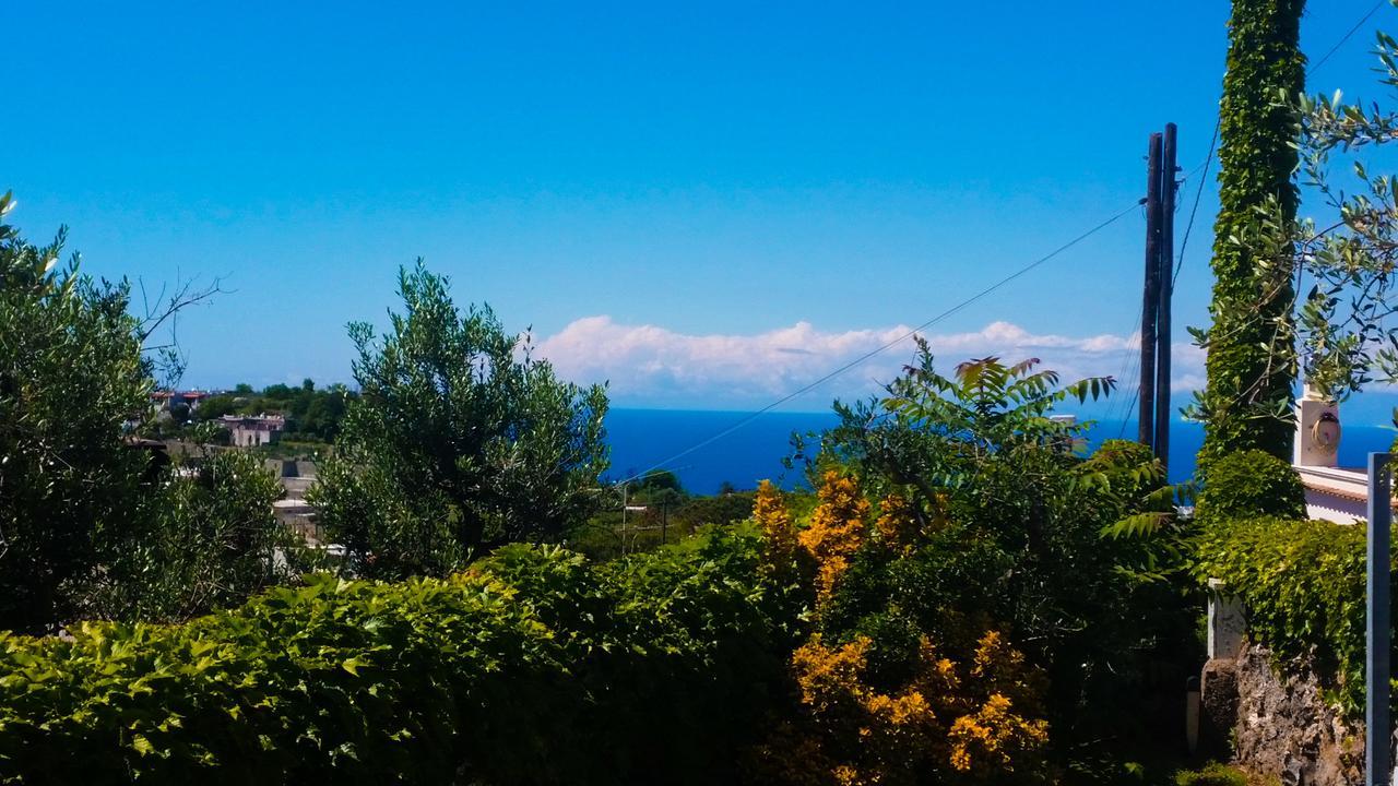 Appartamenti Luongo Forio di Ischia Екстериор снимка