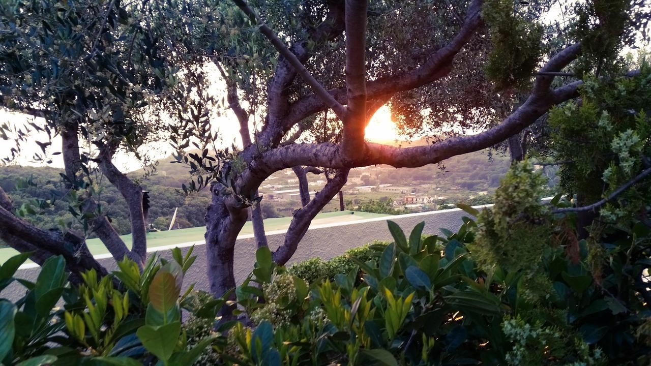 Appartamenti Luongo Forio di Ischia Екстериор снимка